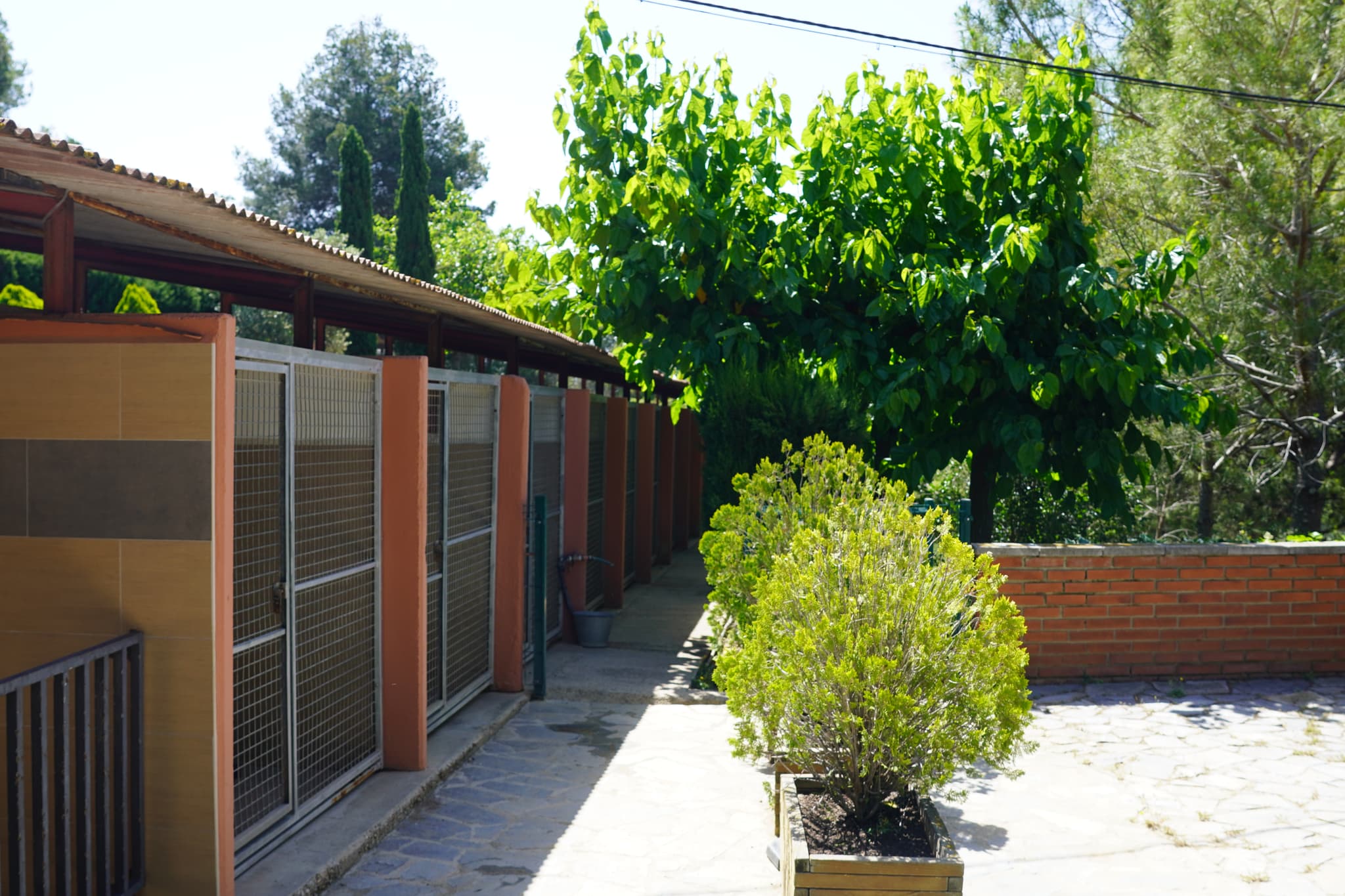 Foto da galeria de Font-Galí Residencia Canina